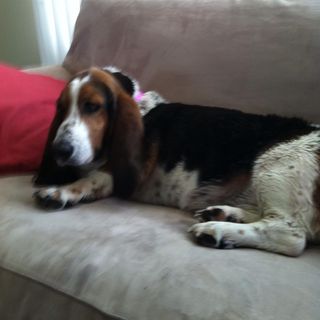 Profile Picture of Bob Struebing (@bob.struebing.5) on Facebook