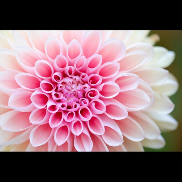 Profile Picture of Leslee Sitton (@lessitton) on Poshmark