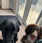 Profile Picture of Pete Mccarthy (@pete.mccarthy.125) on Facebook