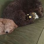 Profile Picture of Robert Hirschinger (@roberthirschinger) on Instagram