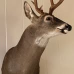 Profile Picture of Jay Wainwright (@Jay-Wainwright) on Facebook