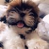 Profile Picture of bernice ramirez (@@berelinda86) on Tiktok