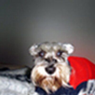 Profile Picture of J. Mario Alejos (@malejos24) on Twitter