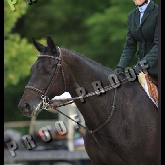 Profile Picture of Debra Alexander (@dalexa7225) on Poshmark