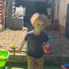 Profile Picture of Darren Belcher (@@darrenbelcher1) on Tiktok