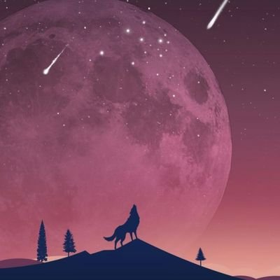 Profile Picture of Alex Anderson (@AlexBootyLife) on Twitter