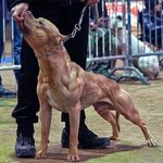 Profile Picture of Joseph Kfoury (@jokf1234) on Instagram