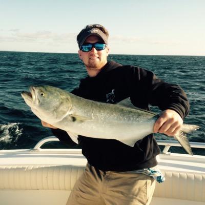 Profile Picture of Dan Hallstrom (@DanHallstrom) on Twitter
