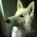 Profile Picture of Timothy Etheredge (@timothy.etheredge.3) on Facebook