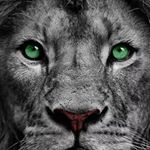Profile Picture of bmr (@montezrobinson10) on Instagram
