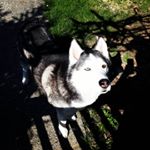 Profile Picture of Matteo Mark Marchiori (@matteomarkmarchiori) on Instagram