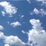 Profile Picture of Barb Robinson🇨🇦 (@r_barb) on Instagram