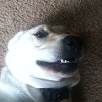 Profile Picture of Richard Rambo (@richard-rambo-1) on Quora