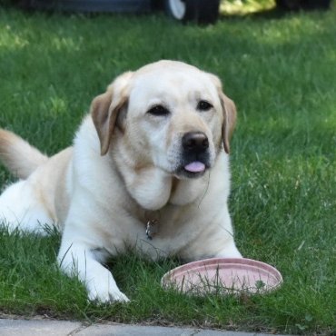 Profile Picture of Emily Rose (@EmilyQuint) on Twitter