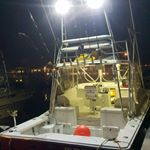 Profile Picture of Joseph Lavorgna & Paul England (@whiplashfishing) on Instagram