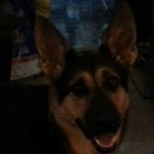 Profile Picture of Greta Lambert (@gr8ciesmom) on Myspace