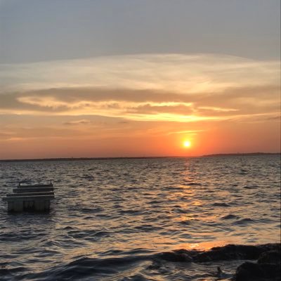 Profile Picture of Megan Watts (@_meg_watts_) on Twitter