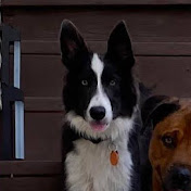 Profile Picture of Ken Gray (@kengray4781) on Youtube