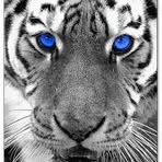 Profile Picture of Mike Frankenfeld (@mike.frankenfeld.3) on Facebook