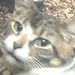 Profile Picture of Mooooody0602 (@corbinboyd32) on Pinterest