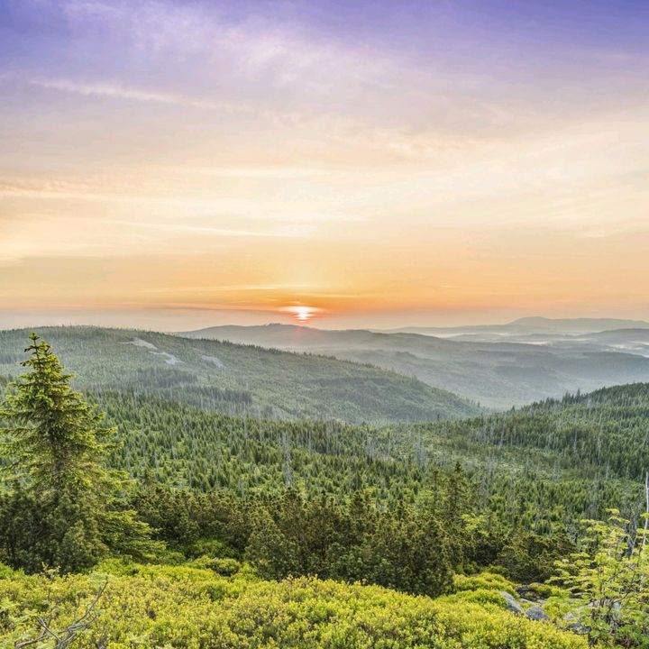 Profile Picture of Alyson Bates (@@alysonbates) on Tiktok