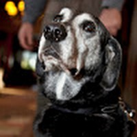 Profile Picture of Jon J. Jarman (@jon-j-jarman) on Quora