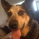 Profile Picture of Dustin Raymond (@dustinwraymond) on Instagram