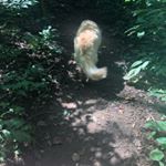 Profile Picture of cecilia kennedy (@cecilia_cupcakes) on Instagram