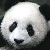 Profile Picture of Bryce Morgan (@brycemorgan1962) on Youtube