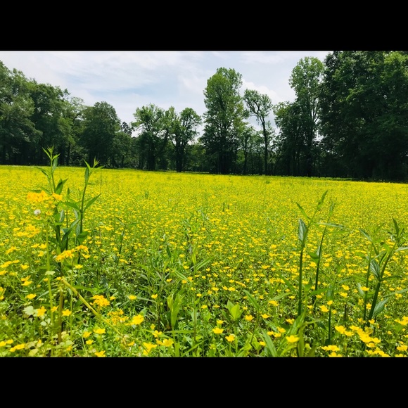 Profile Picture of Gary Graham (@gary_graham) on Poshmark