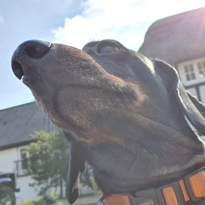 Profile Picture of Hilary Bloomfield (@MrsBloomingdale) on Twitter