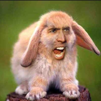 Profile Picture of Scott Maule (@scottmaule_) on Twitter