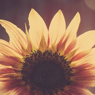 Profile Picture of Tricia Claycomb (@triciac6294) on Instagram