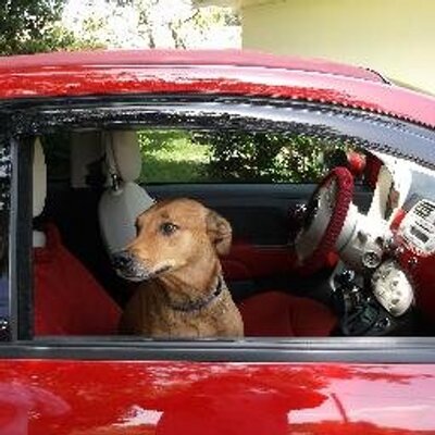 Profile Picture of Mark Altieri (@maltieri12) on Twitter