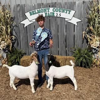 Profile Picture of Lori McGinnis (@lori_cole) on Instagram