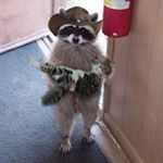 Profile Picture of 𝖝𝖆𝖓𝖉𝖊𝖗 𝖏𝖆𝖒𝖊𝖘 (@xander_jamesx) on Instagram