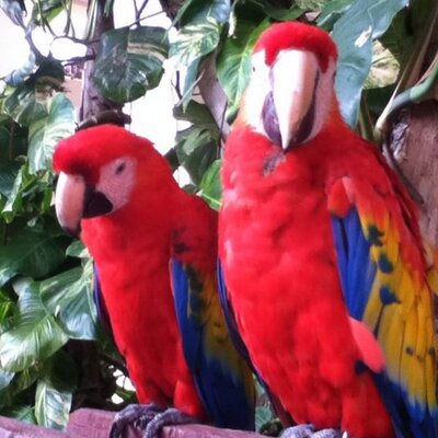 Profile Picture of Derek Bare (@pr_bare) on Twitter