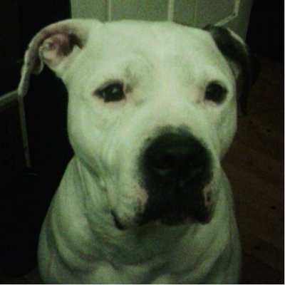 Profile Picture of Corey Fruehauf Kroll (@CoreyFruehauf) on Twitter