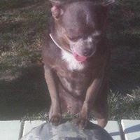 Profile Picture of Tammy Mansell (@tammy-mansell-2) on Quora