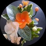 🦋As Coisitas Da Carla 🍰🌻 - Instagram Profile Picture of 🦋As Coisitas Da Carla 🍰🌻 (@ascoisitasdacarla) on Instagram