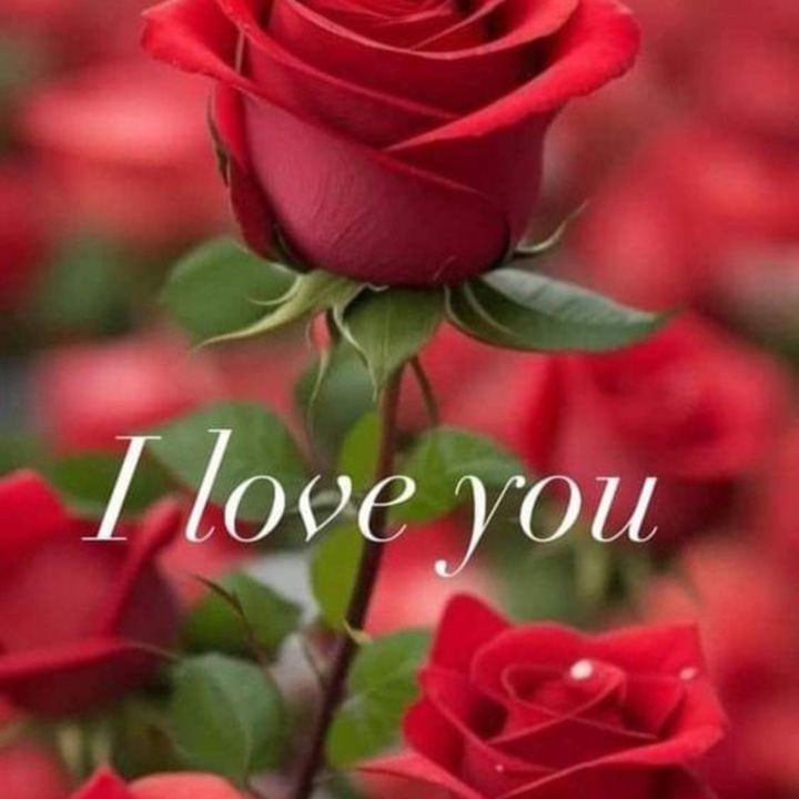 Profile Picture of Sam (@johnzaki12345) on Tiktok