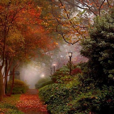 Indira Rogava - Twitter Profile Picture of Indira Rogava (@indirarogava) on Twitter