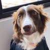 Profile Picture of Hilda (@@hildaborder) on Tiktok