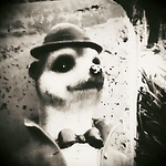 Profile Picture of John Spry (@jspry74) on Flickr