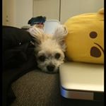 Profile Picture of James Silverio (@silverioj) on Instagram