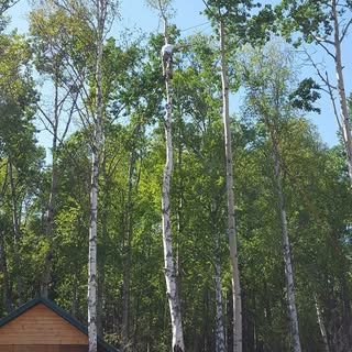 Profile Picture of David Rittenberry (@rittenberrydavid) on Instagram