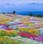 Profile Picture of Lowrens Mundri (@lowrens.mundri) on Facebook