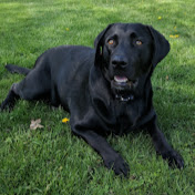 Profile Picture of Kate Vaughan (@katevaughan8658) on Youtube