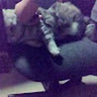 Youri Oratch - Quora Profile Picture of Youri Oratch (@youri-oratch-1) on Quora