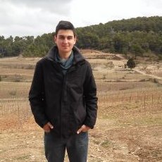 Profile Picture of Albert Torrents Saba (@torrents_albert) on Twitter